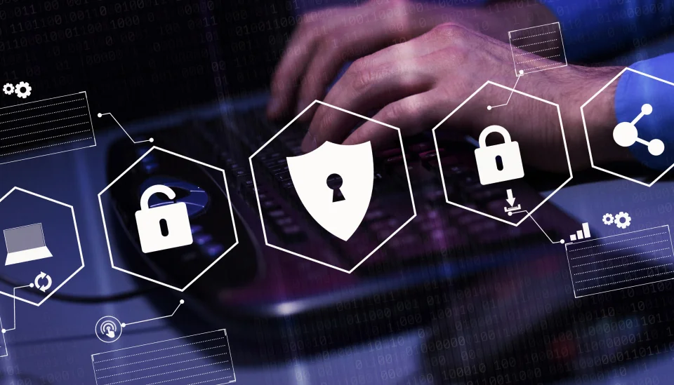 Cyber Fraud Investigation